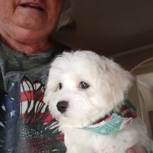 Meet your Posher, Lynn